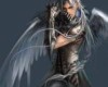 Winged Avenger