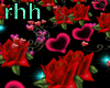 Roses,Heart Effect