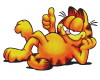 Garfield is back!