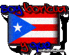 bandera de puertorico