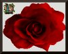 [ER] Red Rose Magic