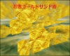 Gold sand Jutsu Shinobi