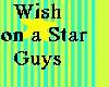 wish on a star guys