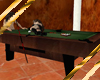 }T{ pool table W/ Poses
