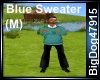 [BD] Blue Sweater (M)