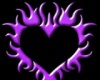 Purple Heart Club