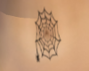 Belly Web