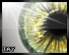 Eyescapes - Harmoney M