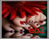 eb2: Ladybird nails