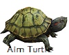 Turtle Anim