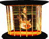 flame dance cage