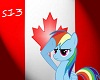 s13-Canada Rainbow dash