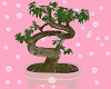 Bonsai tree 💋