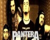 Pantera Band Sticker