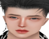 New! Korean Grey Eye's