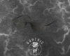 Ⓓ Gato Shades