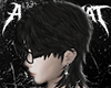A | Mullet
