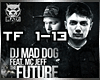 DJ Mad Dog - The Future