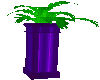 RH purple neon plant