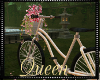 !Q Asian Garden Bike