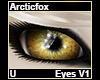 Arcticfox Eyes V1