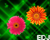 EDJ Flowers Enhancer 2