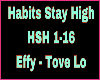 Habits Stay High Remix