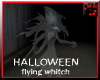 HALLOWEEN flying WITCH