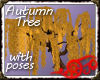 *Jo* Tree Autumn Willow