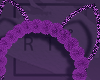 R| Cat Fur |Purple