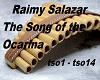 Raimy Salazar The Song