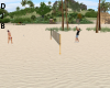 Beach Badminton
