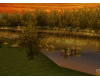 romantic autumn lake