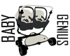 Bla/Whit Carseat/Stroll