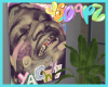 YATCHY