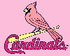 Cardinals Pink T-Shirt