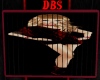 ~DBS~SDW Frames