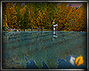 (ED1)Autumn  lake