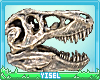 Y. Paleontology D. KID
