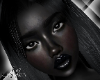 Il Nia Noir Lash + Brows