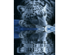 Animated Water Leopard