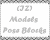 (IZ) Models Pose Blocks