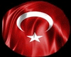 Turkish Flag Light