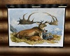 Elk, fawn and Child