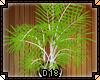 [D18] Large Plant [B]