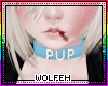 ♡ blue pup collar