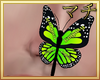 MK| My Butterfly