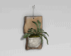 Vintage Wall Plant Decor