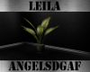 ADG Leila Plant 1