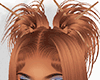 𝓁. genni ginger